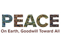 drone imaging services